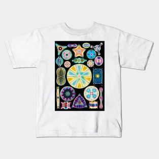 Art of Diatom algae (from Ernst Haeckel) (B305/0177) Kids T-Shirt